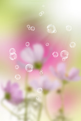 Similar image 1500186