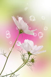 Similar image 1500187