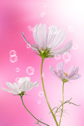 Similar image 1500189