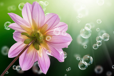 Similar image 1500251