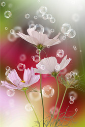 Similar image 1500252