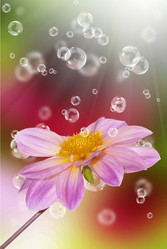 Similar image 1500254