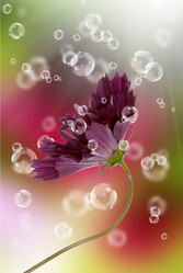 Similar image 1500255