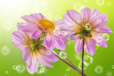 Similar image 1500257