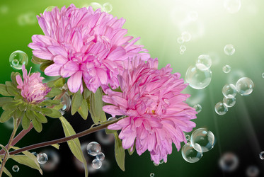 Similar image 1500259