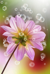 Similar image 1500260