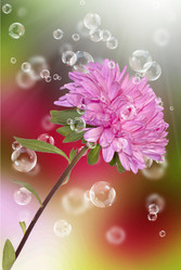 Similar image 1500261