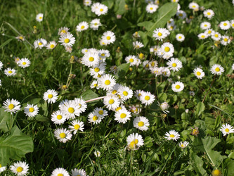 Similar image 1500343