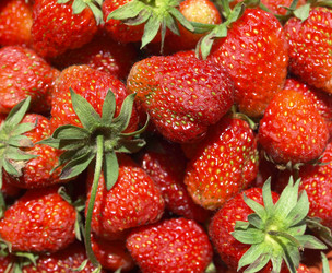 Similar image 1500365