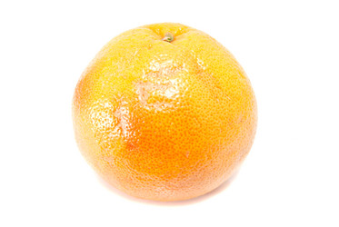 Similar image 1500502