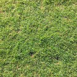 Similar image 1500687