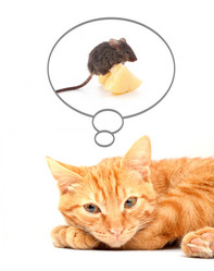 Similar image 1500946