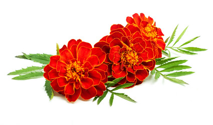 Similar image 1501050