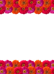 Similar image 1501054