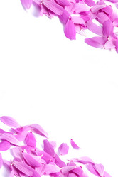 Similar image 1501058