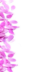 Similar image 1501068