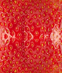 Similar image 1501100