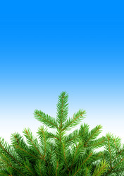 Similar image 1501152