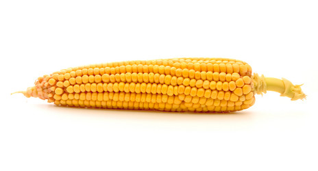 Similar image 1501160