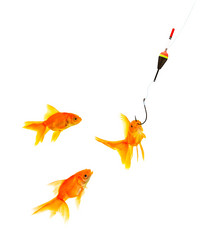 Similar image 1501166