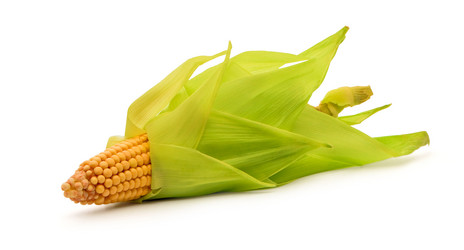 Similar image 1501177