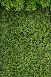 Similar image 1501178