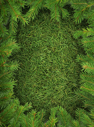 Similar image 1501222