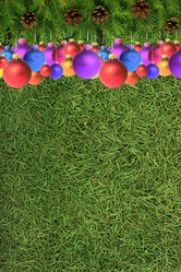 Similar image 1501225