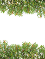 Similar image 1501234