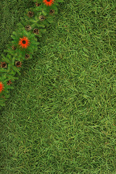 Similar image 1501242