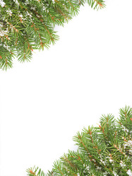 Similar image 1501249