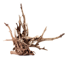 Similar image 1501252