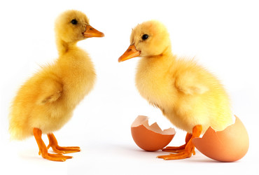 Similar image 1501293