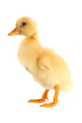 Similar image 1501307