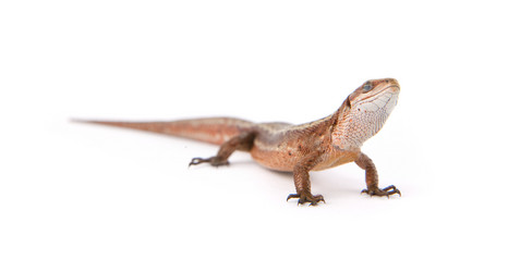 Similar image 1501334