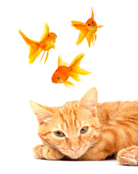 Similar image 1501351