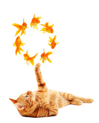 Similar image 1501353