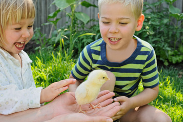 Similar image 1501389