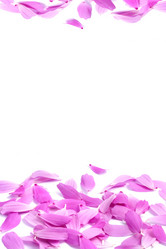 Similar image 1501434