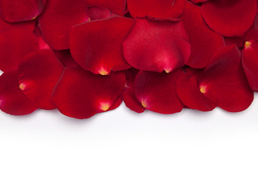 Similar image 1501437