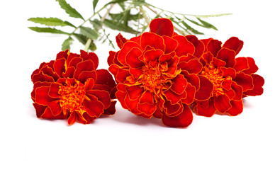 Similar image 1501439