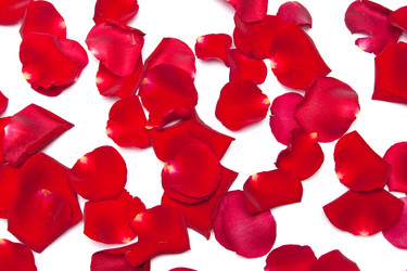 Similar image 1501441