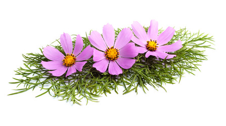 Similar image 1501466