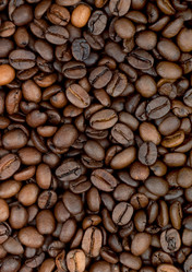 Similar image 1501470