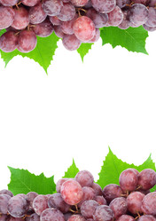 Similar image 1501478