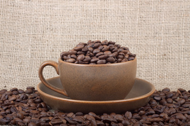 Similar image 1501518