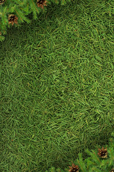 Similar image 1501532