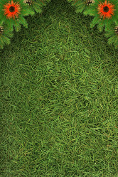 Similar image 1501534