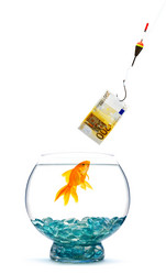 Similar image 1501548