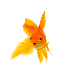 Similar image 1501560